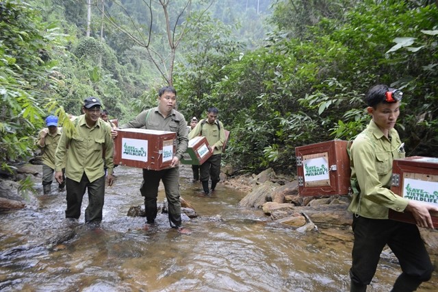 Nguyễn Văn Thái (second, left), 39, director of Save Vietnam's Wildlife during one of his trips to release pangolins into the wild. — Photo courtesy of Save Vietnam's Wildlife
